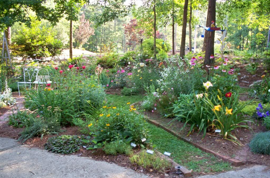 garden 06-14-2010